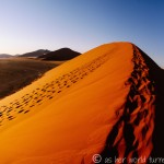 Climbing Dune 45 at Sunrise