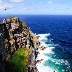 Visiting the Cape of Good Hope