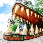 Cango Wildlife Ranch Adventures
