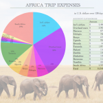 AfricaTripExpensesGraphicPNGa