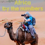 Africa by the Numbers