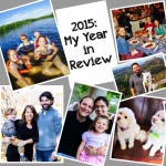 2015 – My Year in Review