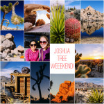 Planning a Weekend in Joshua Tree