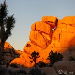 Sunset Over Joshua Tree… and Pizza