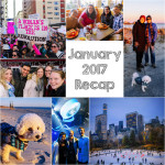 January 2017 Recap