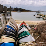 Beach Walks on a Foggy Cape Weekend