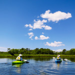 Kayaking Herring River in Cape Cod